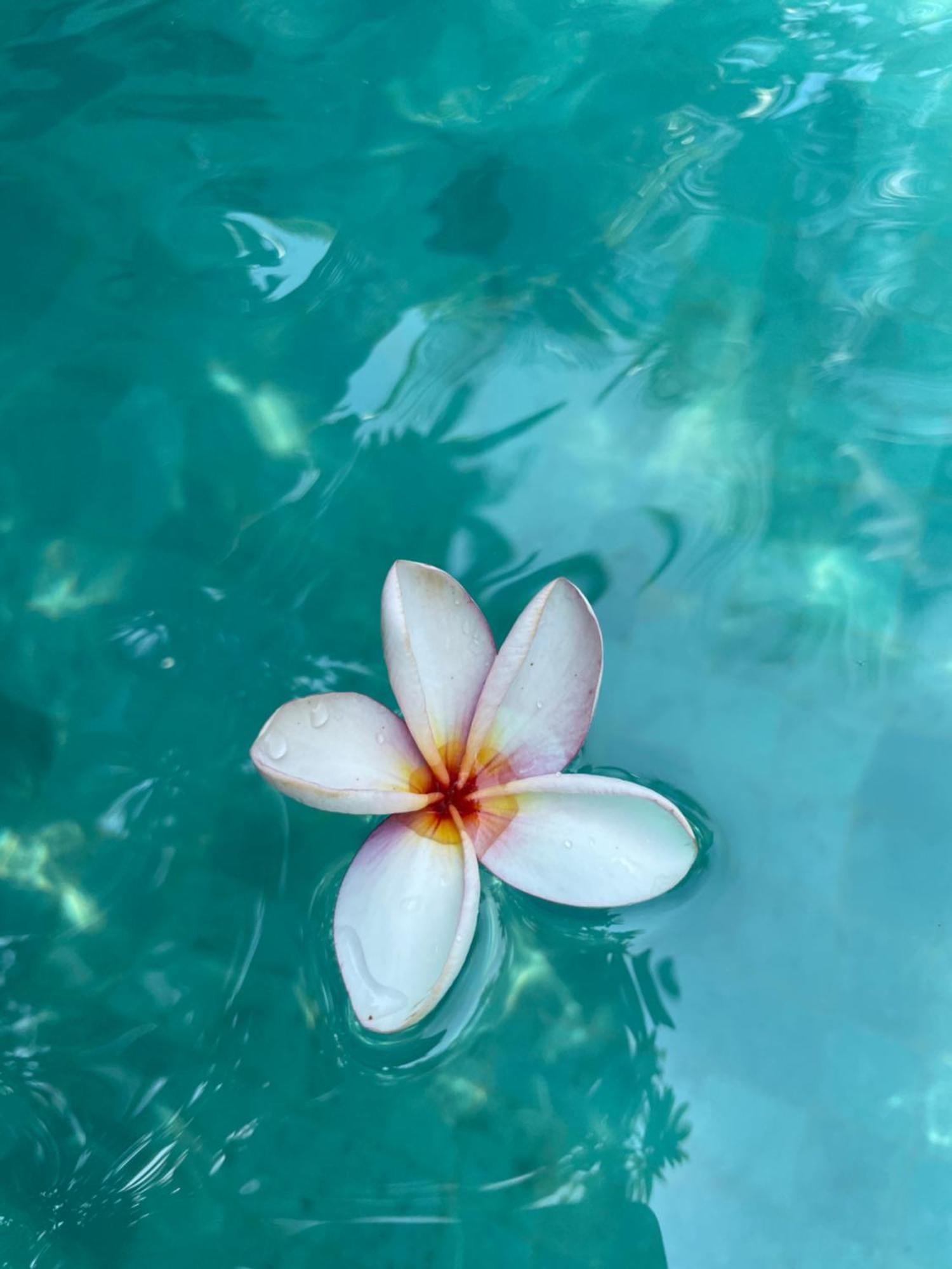 Umakayu Joglo Villa Canggu - Boutique Hotel Kültér fotó